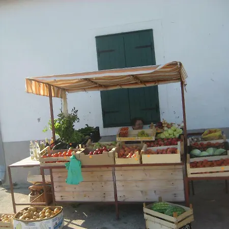 Varga * Ždrelac