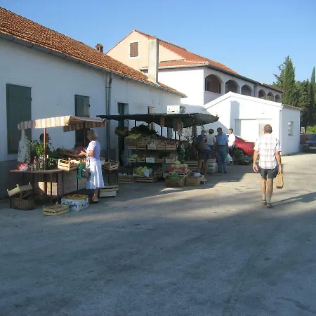 Varga